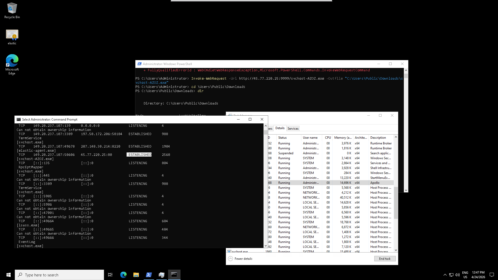 Payload Execution