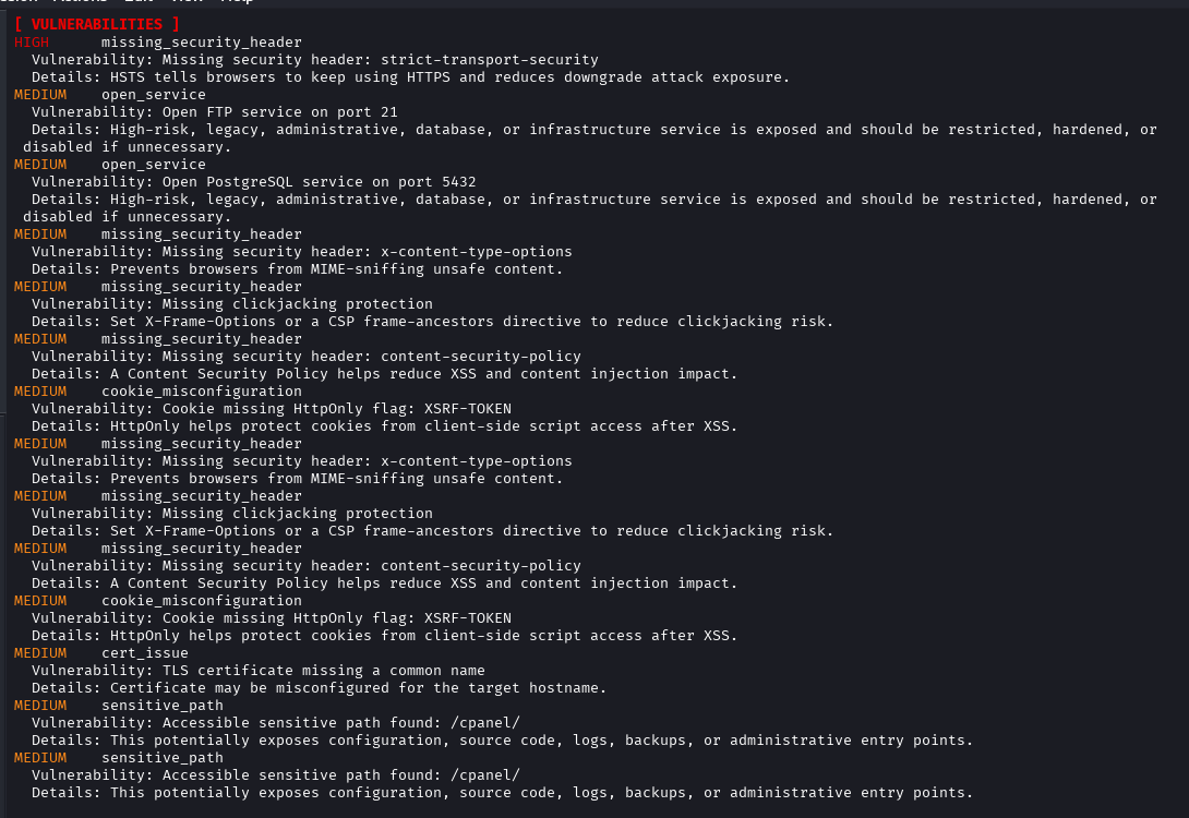 VulnRaider vulnerability report output