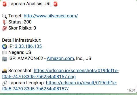 Phishing Triage Output