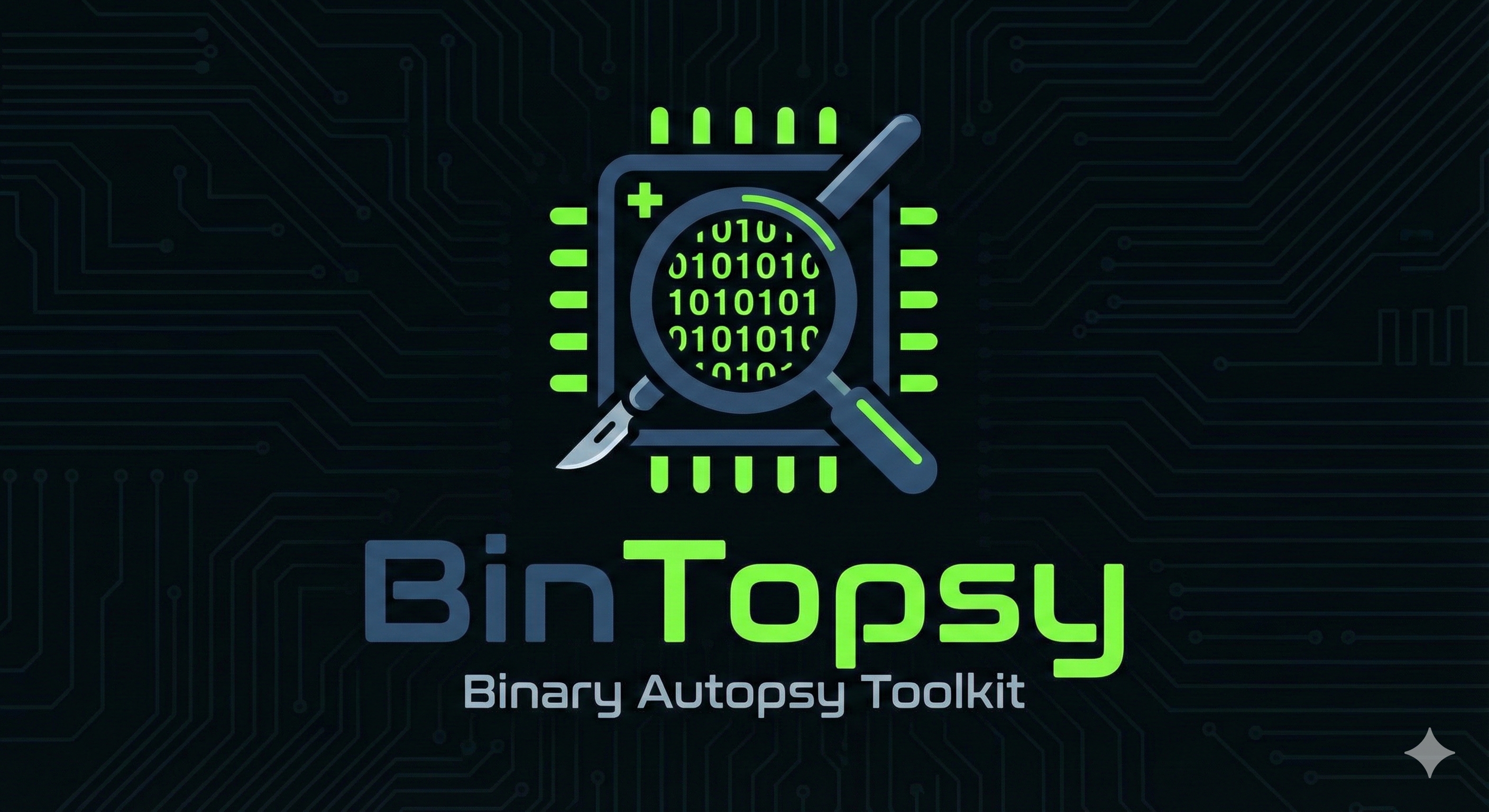 BinTopsy Logo
