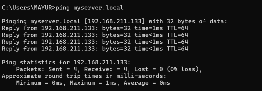 DNS Ping