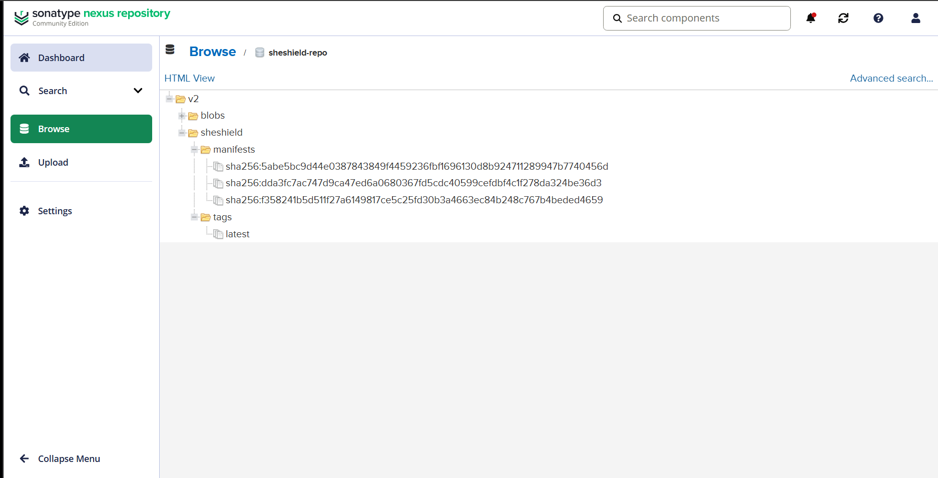 Nexus Repository — Docker Images