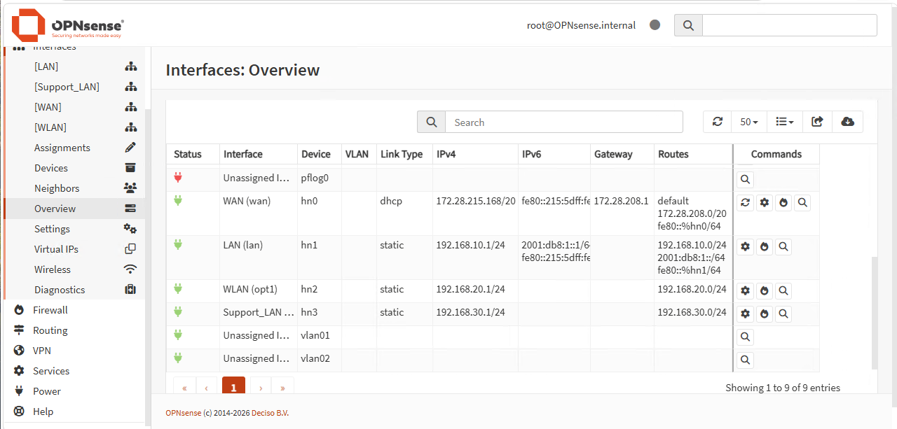 OPNsense 接口概览