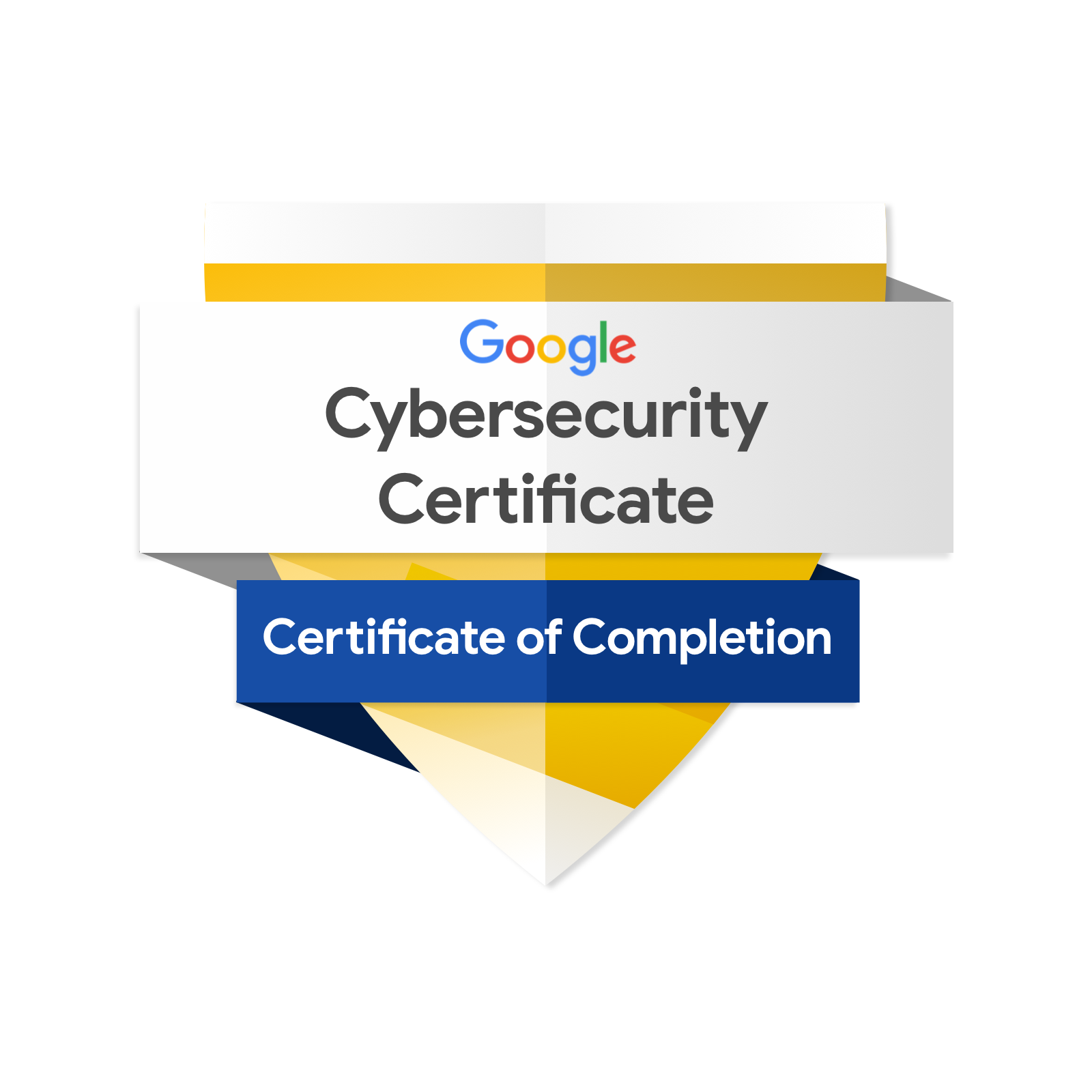 Google Cybersecurity Professional Certificate
