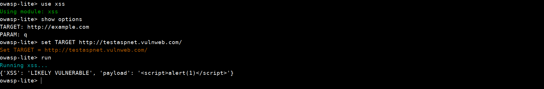 XSS