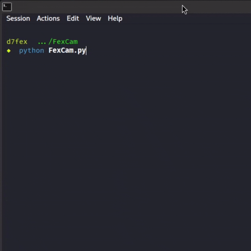 Terminal Demo