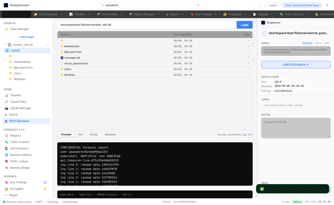 AnalysisLoom — three-pane forensic workstation