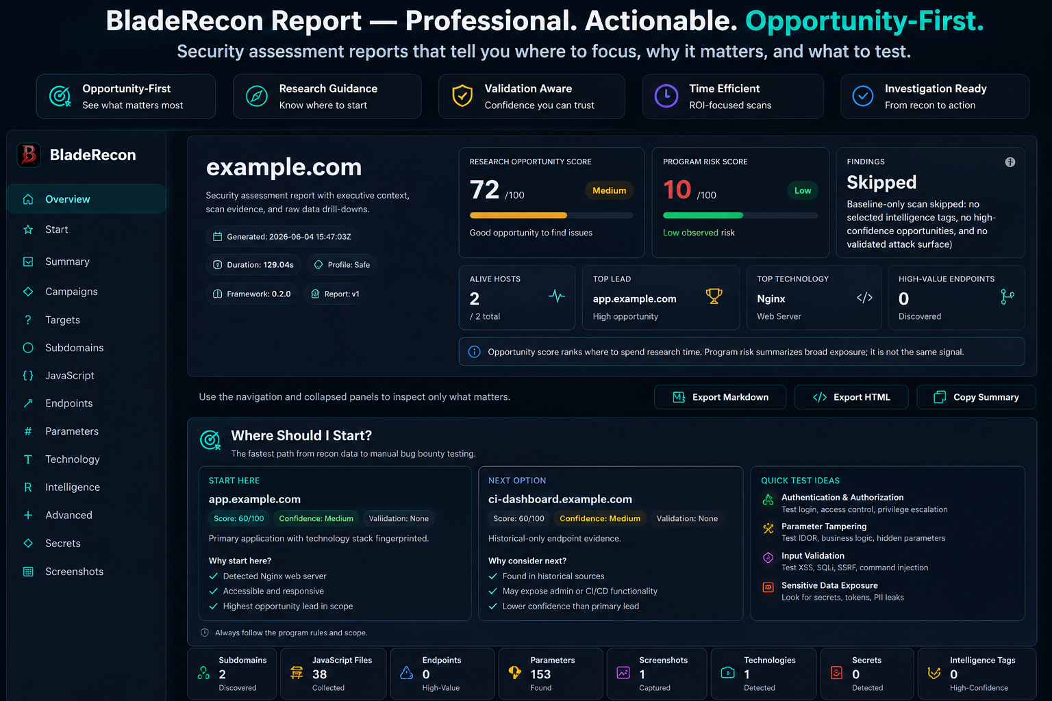 BladeRecon 报告预览