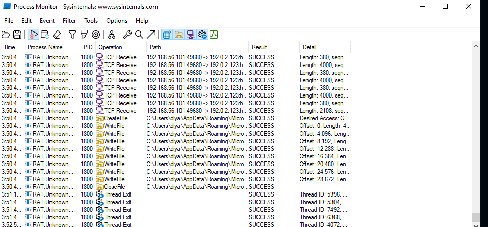 procmon analysis