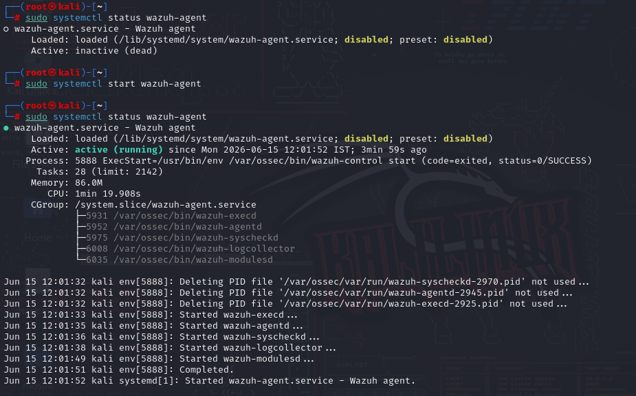 Kali Agent