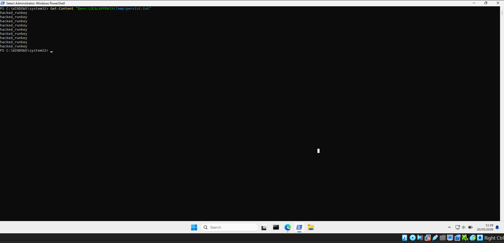Registry run key persists after reboot