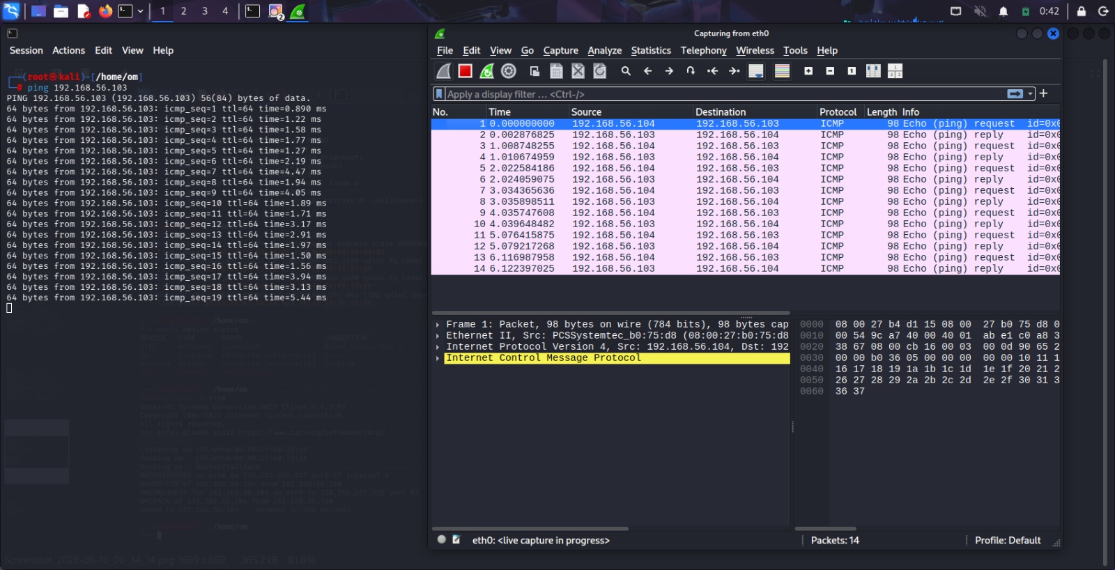 Wireshark 捕获