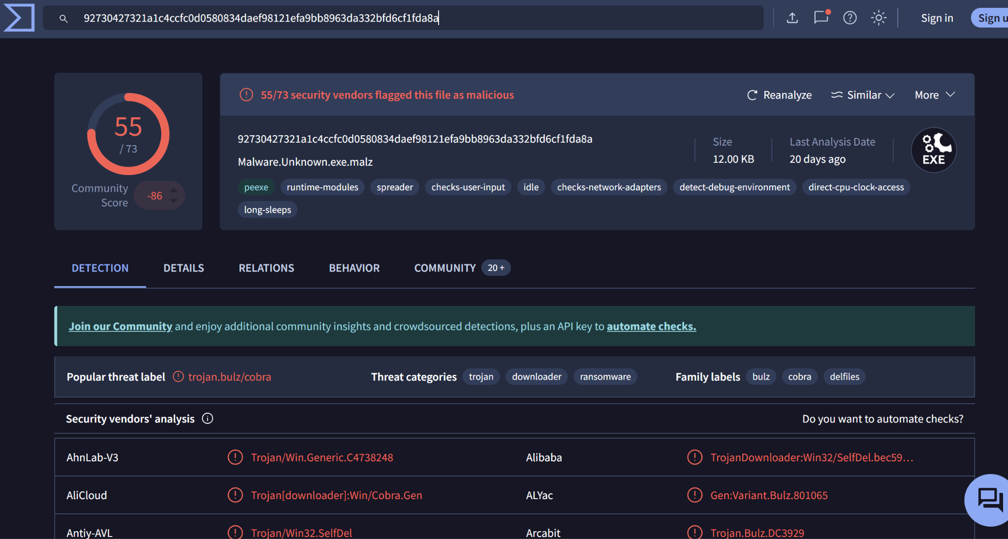 VirusTotal 检测摘要