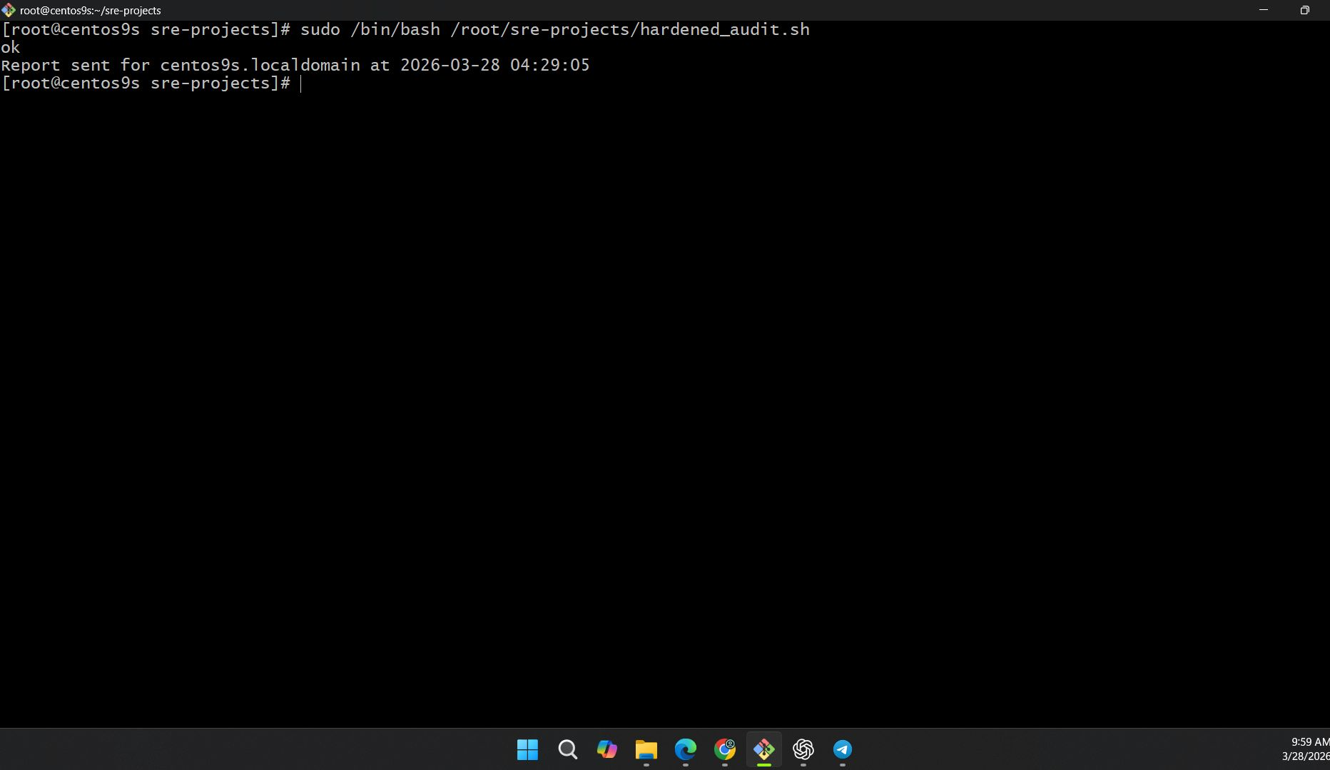 System Audit Execution