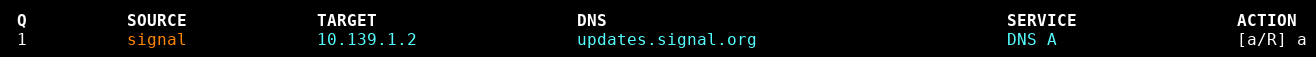 DNS A query