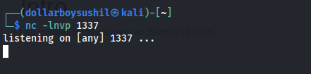 端口 1337 上的 Netcat 监听器已激活