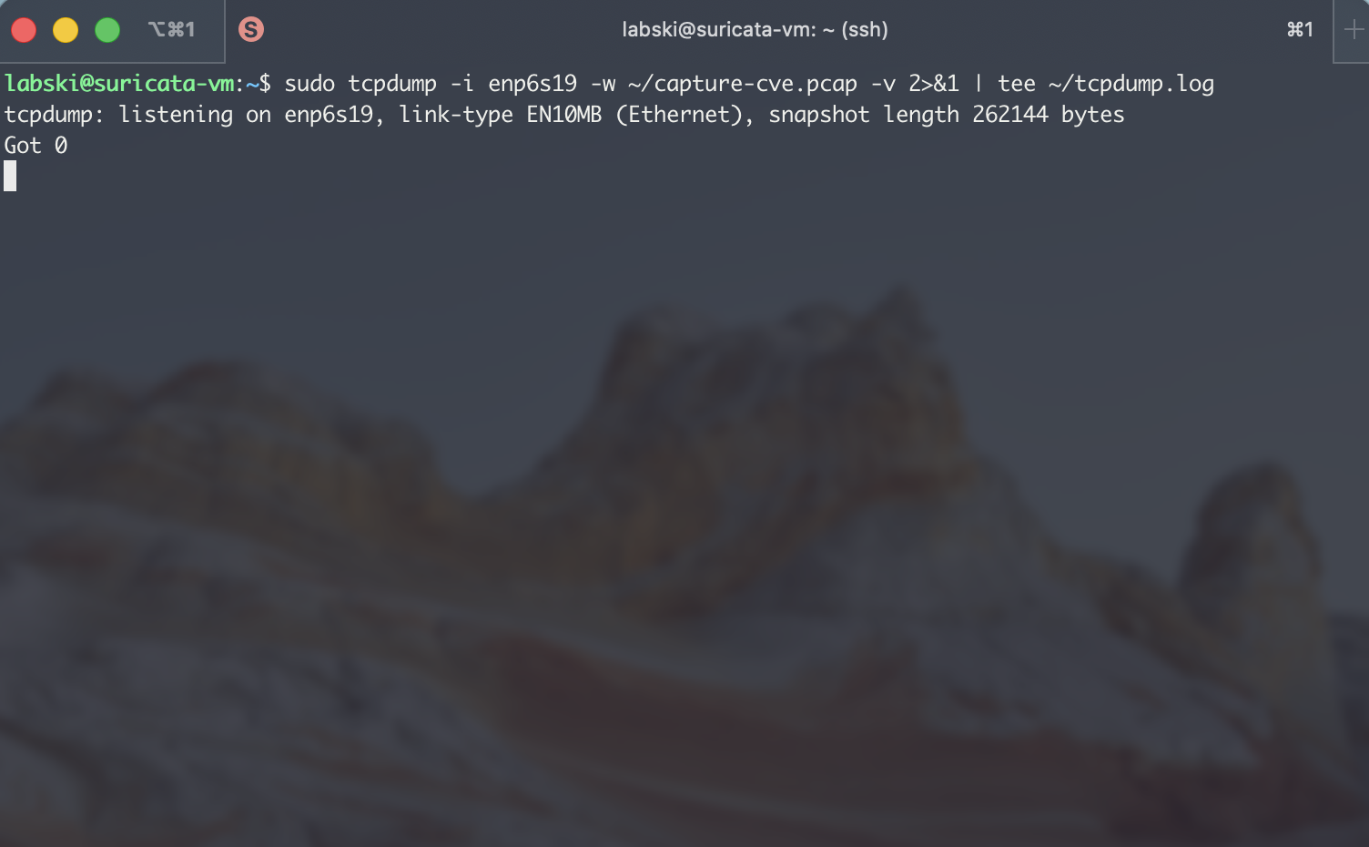 suricata traffic events copy