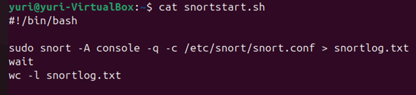 Script to start Snort