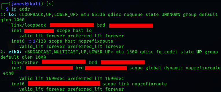 Kali Enterprise Network Configuration
