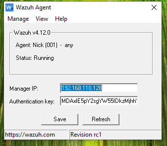 Windows 代理