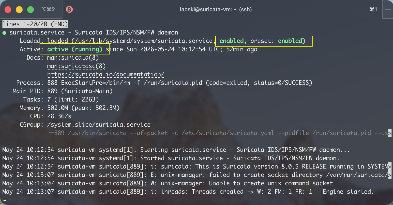 Suricata service active and enabled