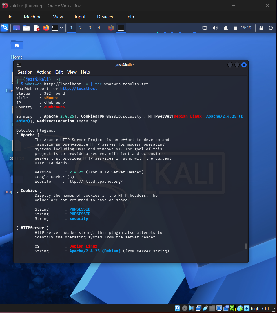 WhatWeb Technology Fingerprinting