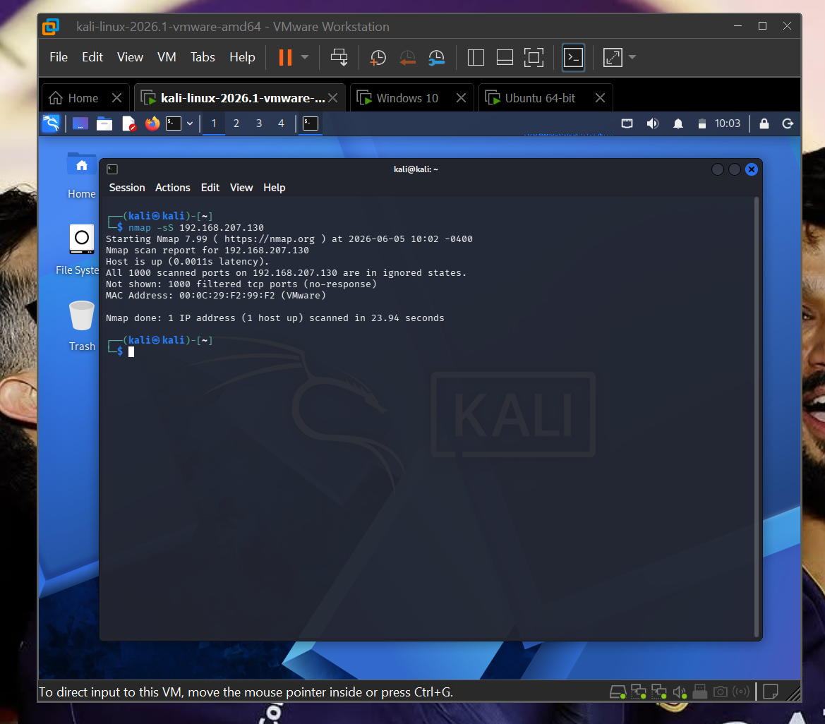 Nmap SYN 扫描