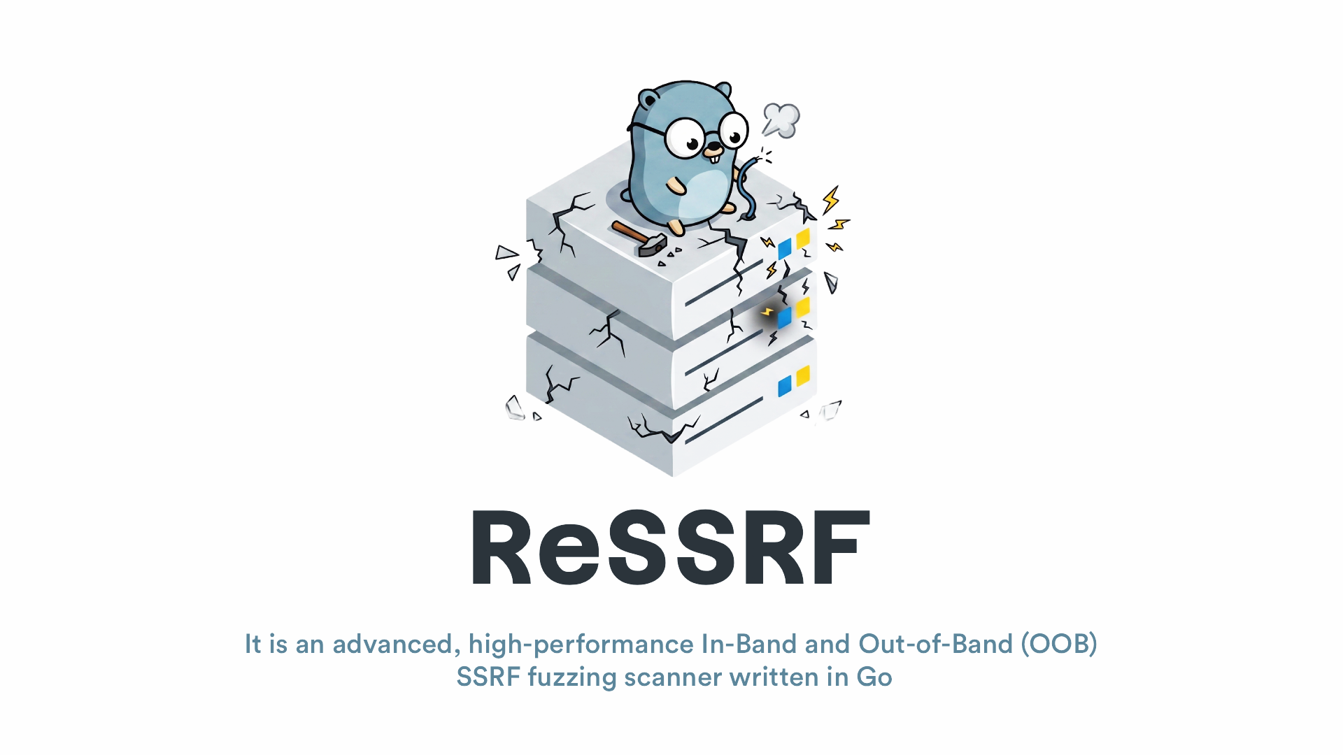 ReSSRF 图片