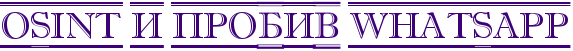OSINT и пробив WhatsApp