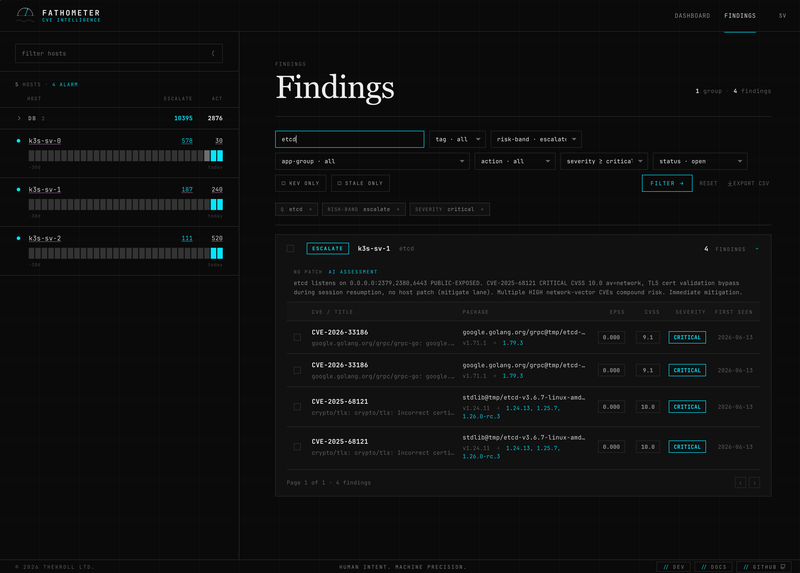 Findings — cross-host CVE and package explorer