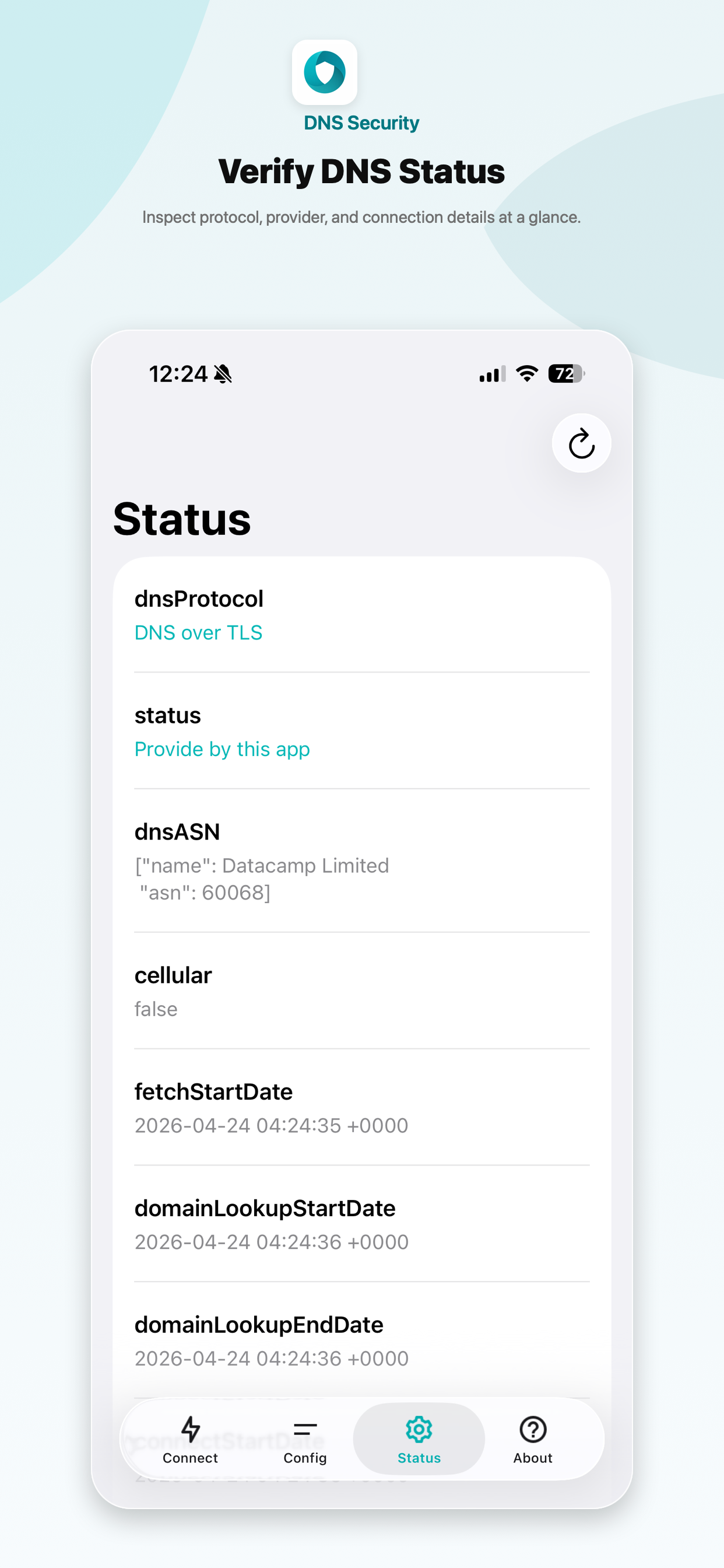 Verify DNS status