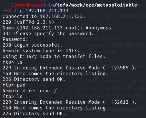 FTP Exploit
