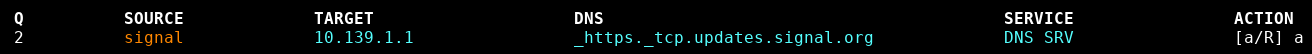 DNS SRV query