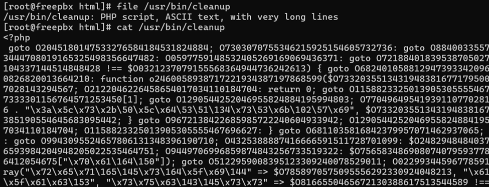 /usr/bin/cleanup - 混淆 PHP