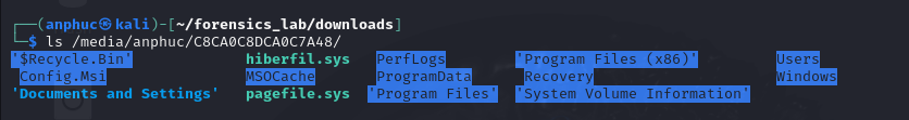 alt text