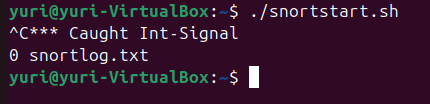 Snort Failed Detection