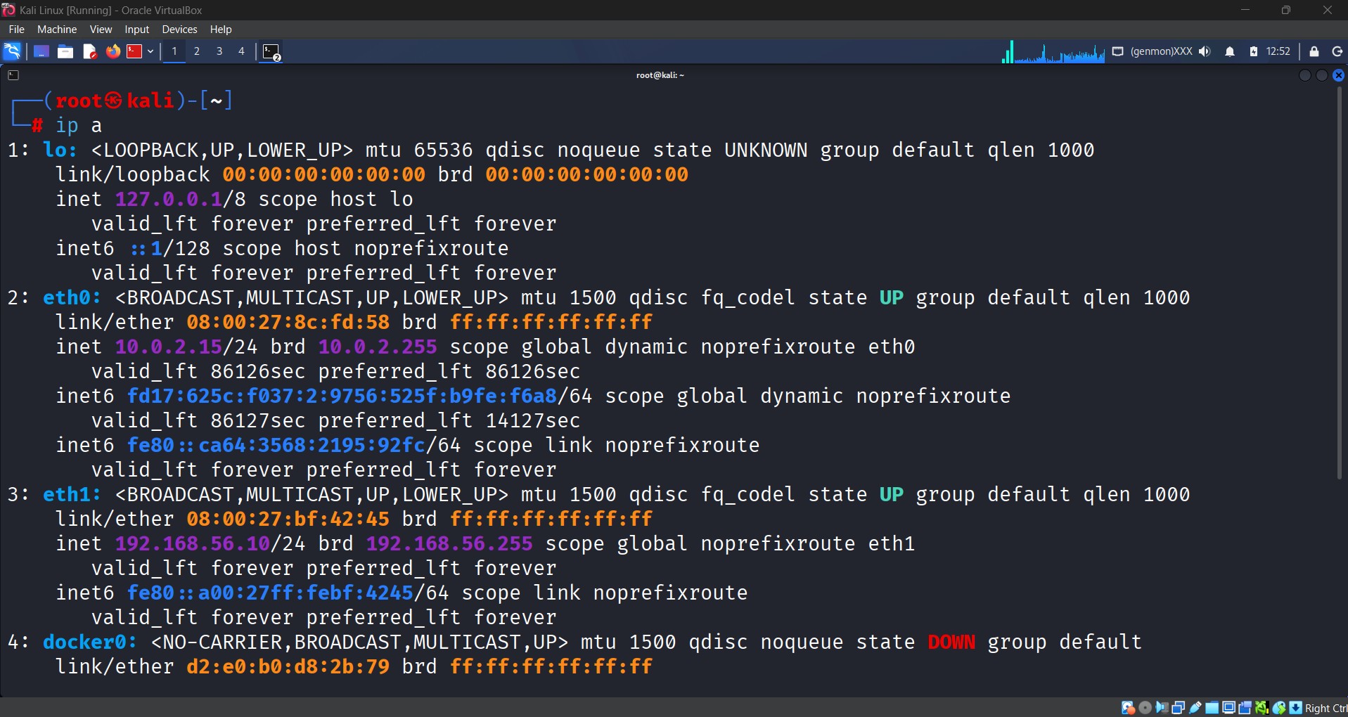 Kali Linux IP Configuration