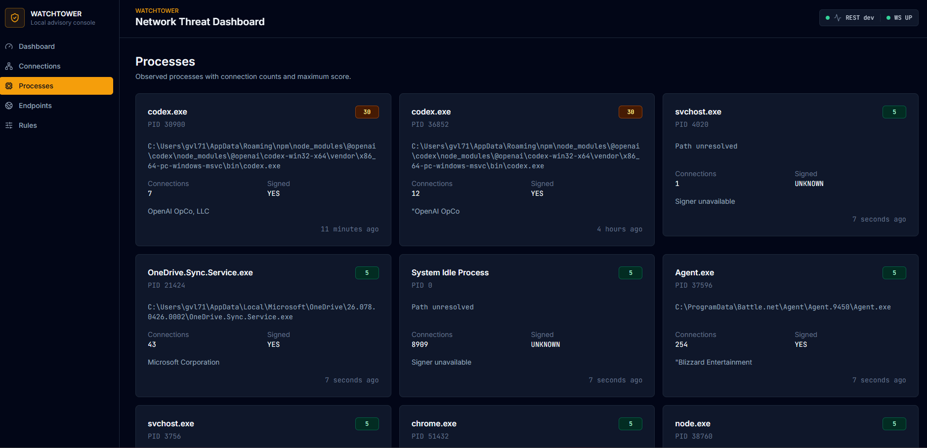 Processes page — grid of cards showing each process with path, signing status, and connection count