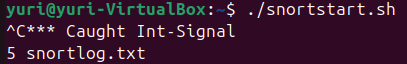 First Snort Detection