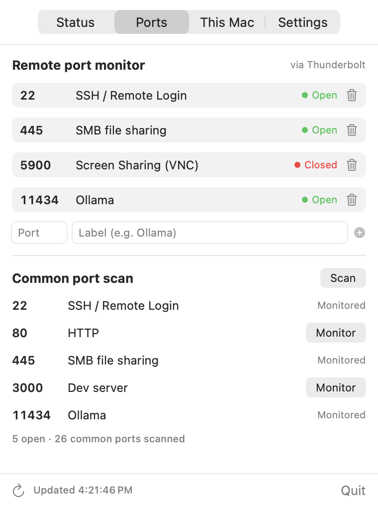 Port monitor and common port scan