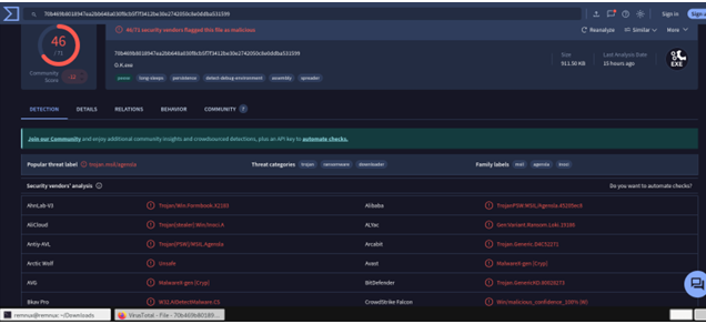 VirusTotal 结果