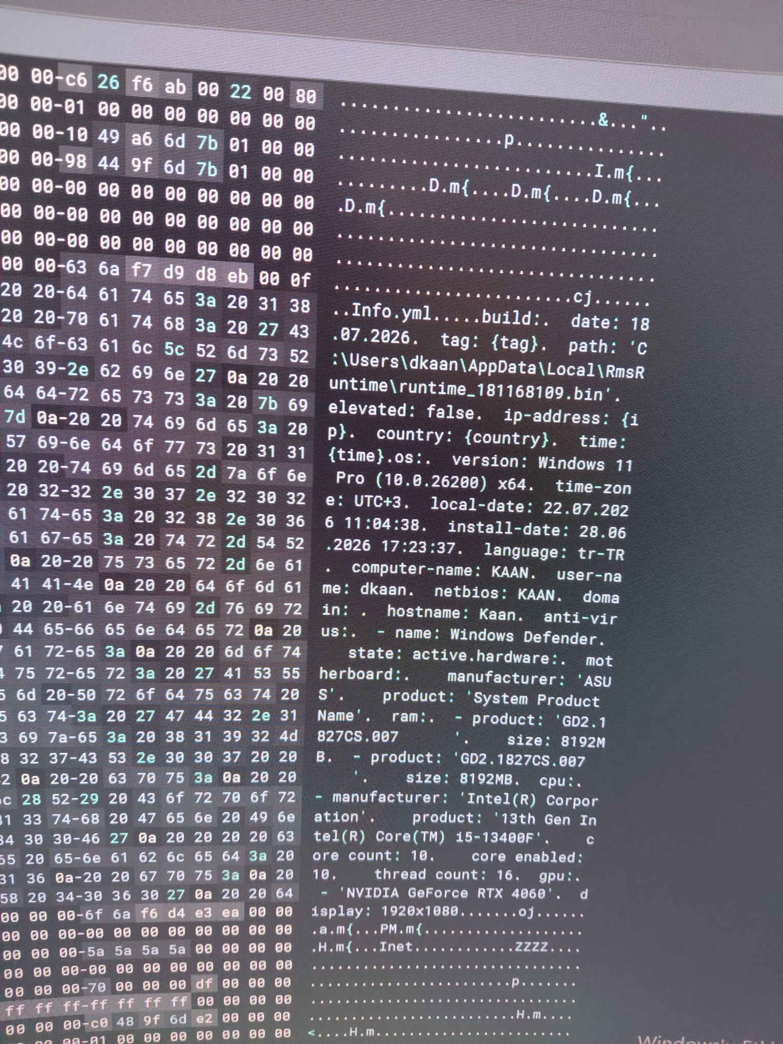 Remus Stealer Memory Dump - System Profiling