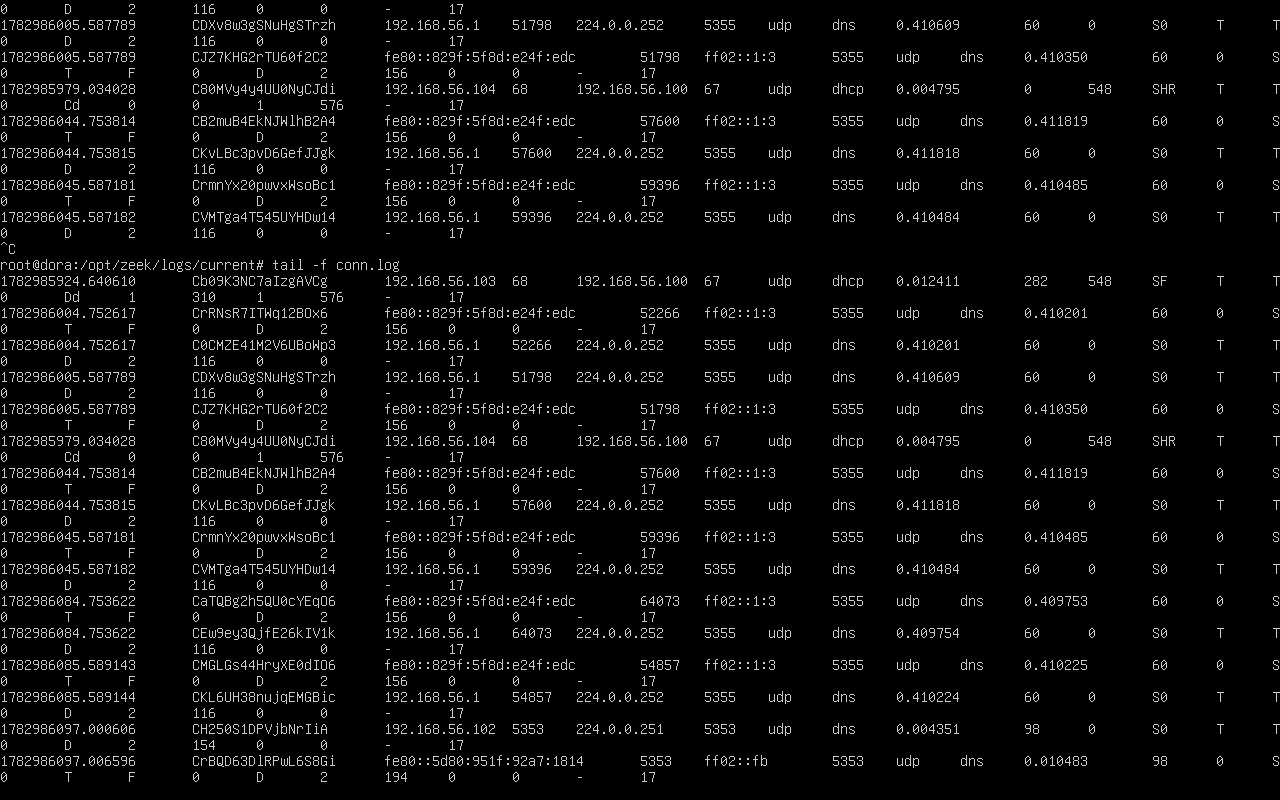 Zeek results on ping