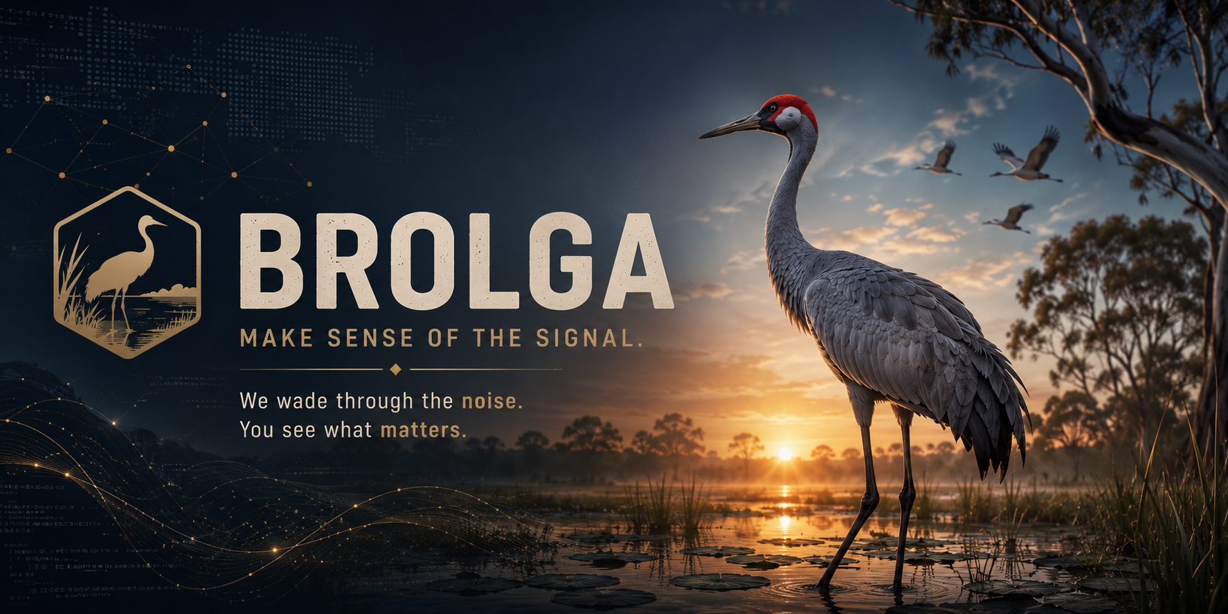 Brolga — Make sense of the signal