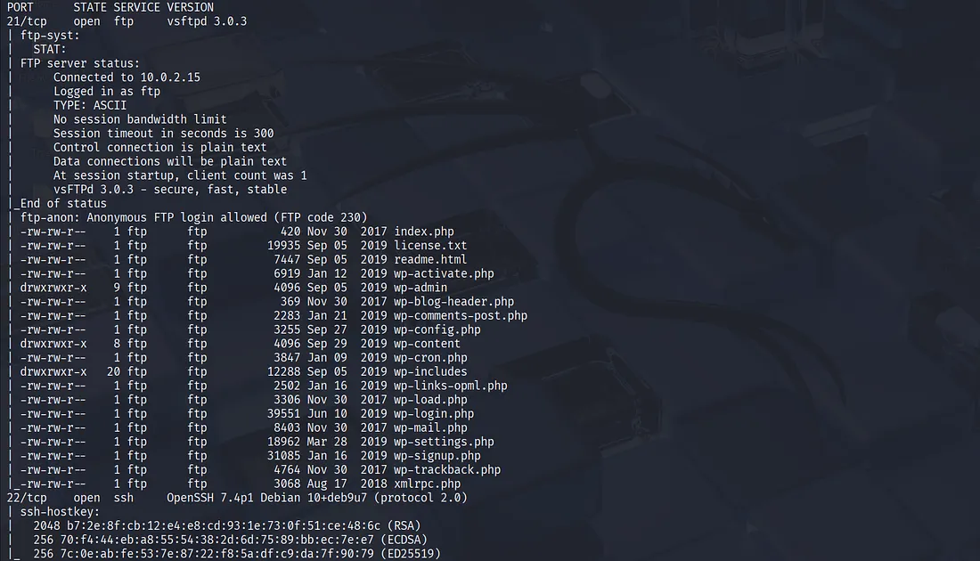 Nmap 扫描