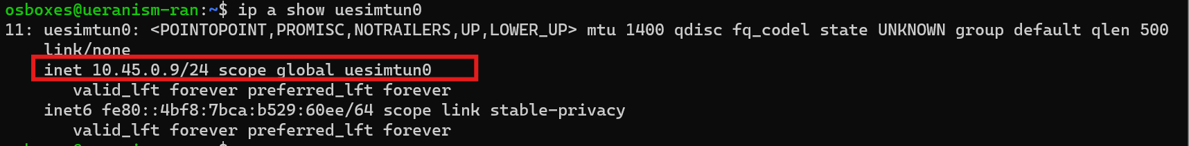 uesimtun0 IP assigned