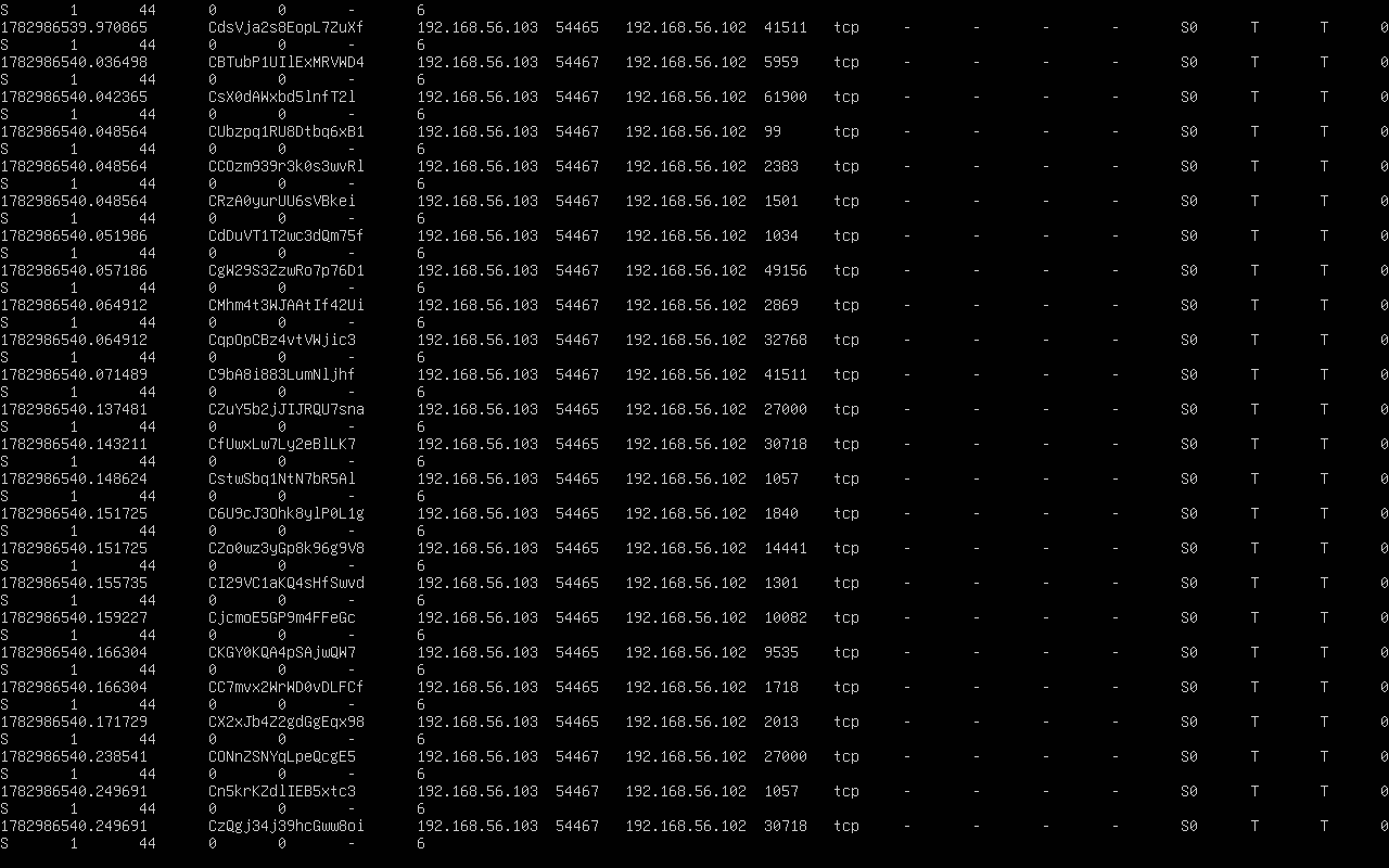 Zeek nmap