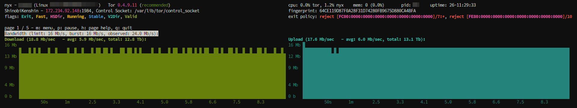 Nyx bandwidth monitoring for a running Tor exit relay